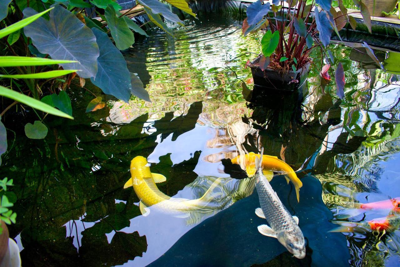 Casa Babalahy Bed & Breakfast แซ็ง-ปีแยร์ ภายนอก รูปภาพ